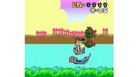 Chester Cheetah: Too Cool to Fool Sega Mega Drive