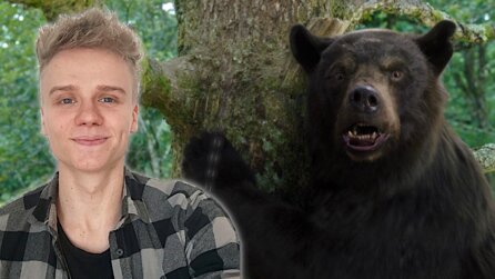 Was passiert, wenn wilde Bären Kokain nehmen? Auf Amazon Prime Video gibts jetzt die Antwort