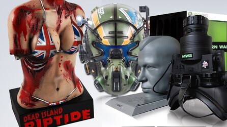 Spiel plus Lamborghini und Weltraumflug - Das sind die verrücktesten und teuersten Collector’s Editions