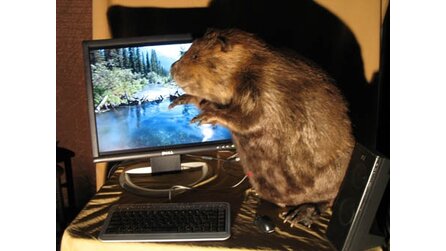 Maus-Maus und Compubeaver - Kunst, cool oder geschmacklos?