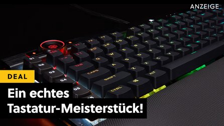 Der wahrscheinlich letzte Keyboard-Kauf eures Lebens: Ich besitze diese geniale Tastatur seit Jahren und bin ihr größter Fan!