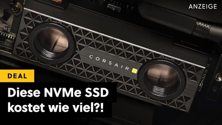Für den Preis dieser wassergekühlten 4TB SSD könnte ich mir auch eine aktuelle 4K-Grafikkarte kaufen