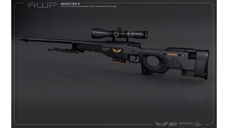 Counter-Strike: Global Offensive - Waffenskins des Wildfire Case