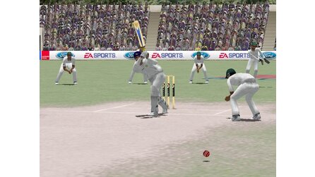 Cricket 2004