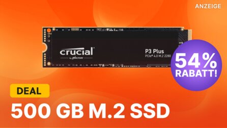 Eine M.2 NVMe SSD mit 500 GB gibt es schon für etwas mehr als 30 Euro!