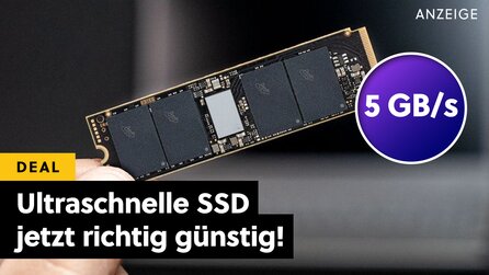 Nur für kurze Zeit supergünstig: Die Crucial M.2 NVMe mit 2TB ist die beste SSD in Sachen Preis-Leistung, die ihr aktuell kriegen könnt!