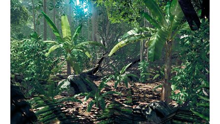 Crysis - kommt später