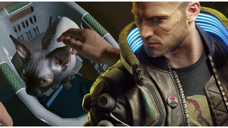 Cyberpunk 2077: So adoptiert ihr Katze Nibbles für Vs Apartment