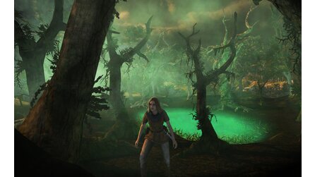 Das Schwarze Auge: Demonicon - Wie stehts um das Rollenspiel?