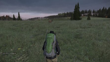 DayZ - Status-Report zu Zielfernrohren und Map-Änderungen