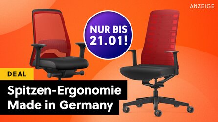 DER hat es mir echt angetan! Einzigartiger Ergo-Bürostuhl bietet 10 Jahre Garantie, einen dicken Rabatt und vieles mehr