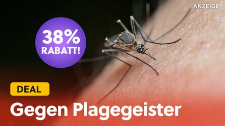 Mit diesen Gadgets für unter 25€ sagt ihr Mücken, Schnaken und juckenden Stichen ein für allemal den Kampf an