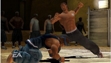 Def Jam Fight for NY The Takeover PSP
