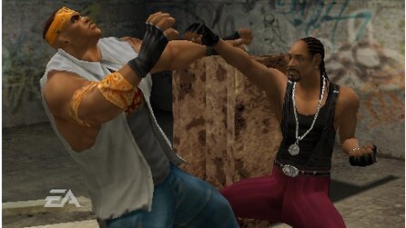 Def Jam Fight for NY The Takeover PSP