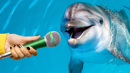 Beispiellose »Gespräche« eines einsamen Delfins: Forscher statten »Delle« aus deutschen Gewässern mit Mikrofon aus