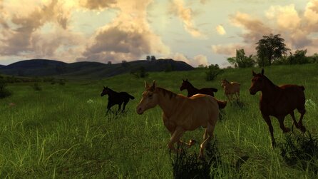 Herr der Ringe Online: Die Reiter von Rohan - Boxed-Release Anfang September, neuer Trailer