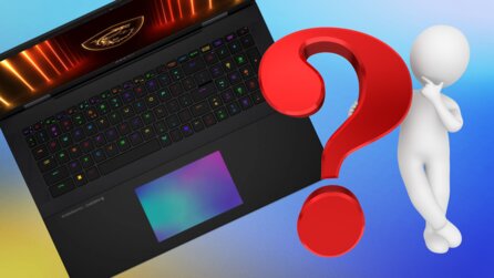 Umfrage: Zeit es ein für alle mal zu klären! Der oder das Laptop?