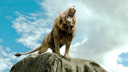 Die Chroniken von Narnia - Das haben wir alles nur geklaut
