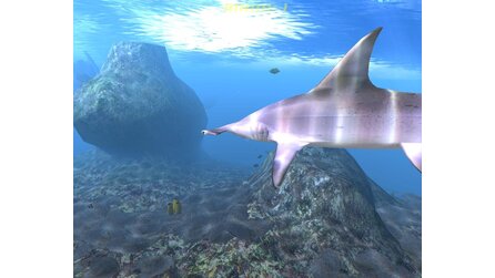 Diver - Realistische Tauchabenteuer in der Karibik