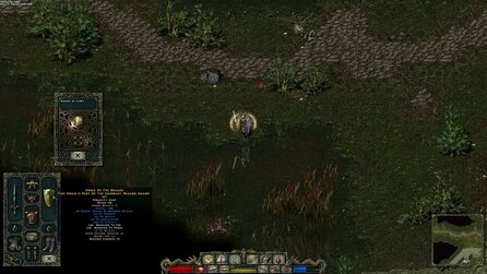 Divine Divinity - Screenshots
