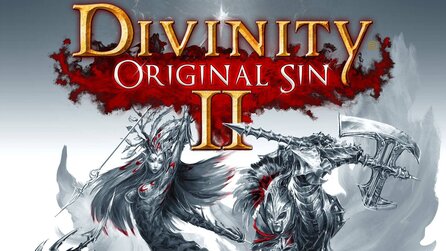 Divinity: Original Sin 2 - Erste Details, Kickstarter-Ankündigung