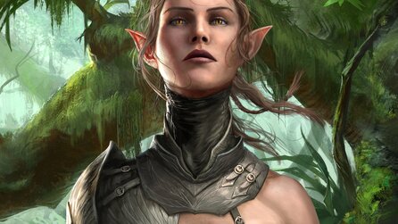 Divinity: Original Sin 2 - Riesige Mod will das Rollenspiel zum Echtzeit-Strategiespiel machen