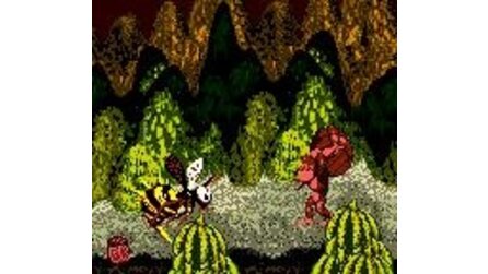 Donkey Kong Country Game Boy Color