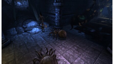 Dragon Age: Origins - Neue Bilder aus dem Bioware-Rollenspiel