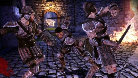 Dragon Age: Origins - Stellungnahme zur Verschiebung