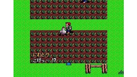 Dragon Slayer: The Legend of Heroes Sega Mega Drive