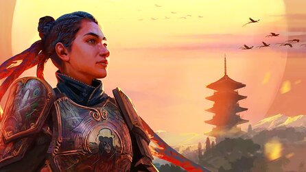 Das Schwarze Auge will bald seine fantasievollste Region vertiefen und Fans bewerfen allein die Idee mit ihrem Geld