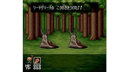 Dual Orb SNES