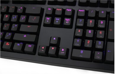 Ducky Shine 4 - Bilder