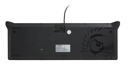 Ducky Shine 4 - Bilder