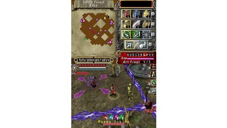 Dungeon Explorer DS