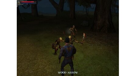 Dungeon Lords - Screenshots