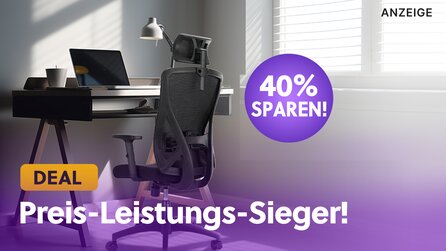 Der beste ergonomische Bürostuhl in Sachen Preis-Leistungs-Verhältnis: Hunderte Amazon-Kunden lieben ihn!