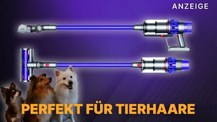 Akkustaubsauger: Der Dyson Cyclone V10 Animal gegen Tierhaare ist gerade bei MediaMarkt richtig günstig