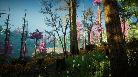 Eastshade - Screenshots
