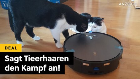 Dieser Saugroboter hat Funktionen wie ein 2.000€-Modell, kostet aber nur die Hälfte - er kann klettern, wischen, saugen und arbeitet komplett autonom!