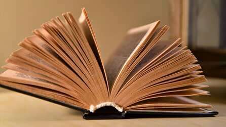 Eingemauert im Kamin: Bibliotheks-Buch wird nach 150 Jahren zurückgegeben – die Säumnisgebühr ist fünfstellig