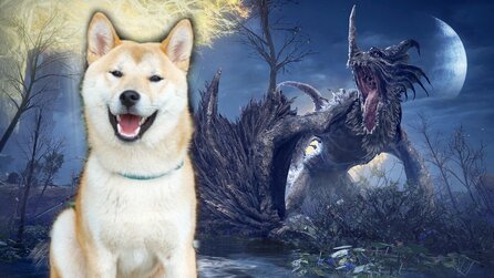 Hund wird ganz kurz zum Elden-Ring-Streamer und das Internet ist verliebt