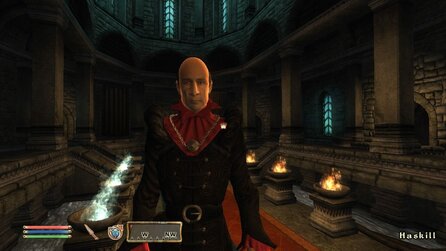 Elder Scrolls 4: Oblivion: The Shivering Isles - Screenshots