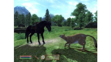 Elder Scrolls 4: Oblivion - USUK-Patch 1.1 ist erschienen