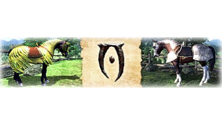 Elder Scrolls 4: Oblivion - Zwei US-Dollar für eine Rüstung