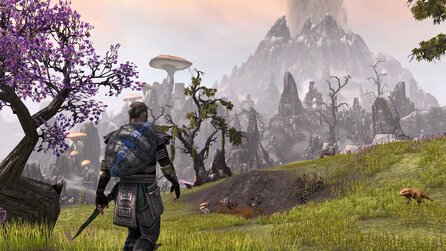 The Elder Scrolls Online - Kostenlose Testwoche angekündigt