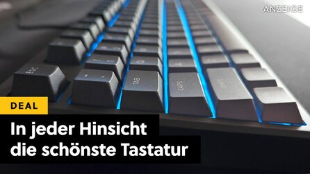 Die schönste Full-Size-Tastatur, die ich je benutzt habe: Enthusiasten-Hersteller bringt neues Ross aufs Schlachtfeld