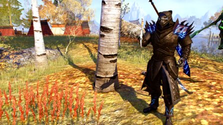 ESO Greymoor: Drachenritter-Guide mit den besten Skills und Championpunkte-Verteilung