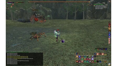 Everquest 2: Echoes Of Faydwer - Screenshots