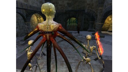 Everquest 2-Gewinnspiel - Die Gewinner des sechsten Tages